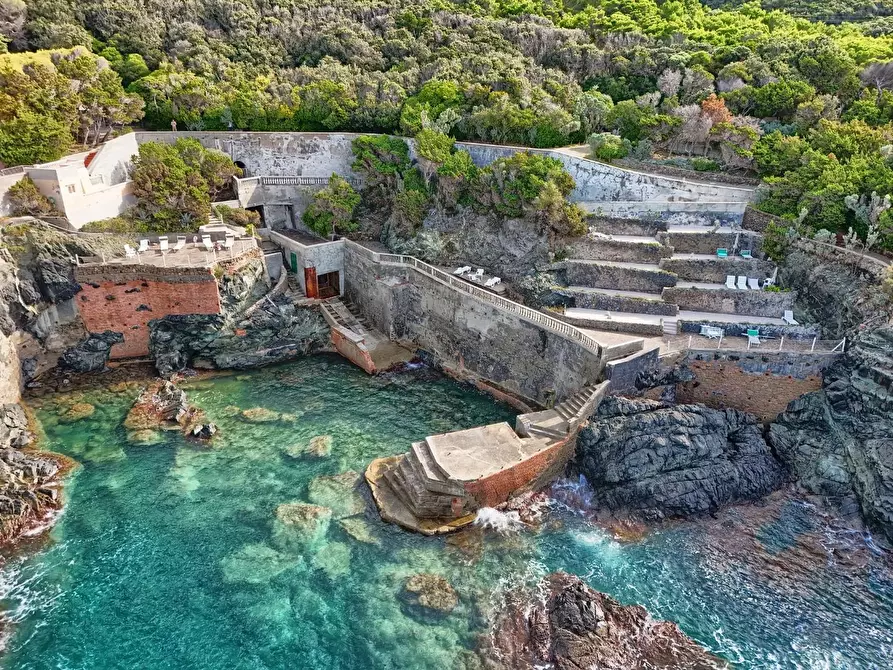 Immagine 13 di Appartamento in vendita  a Rosignano Marittimo