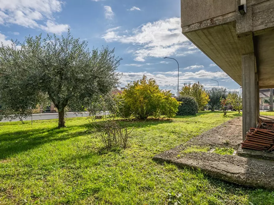 Immagine 6 di Villa in vendita  a Calcinaia