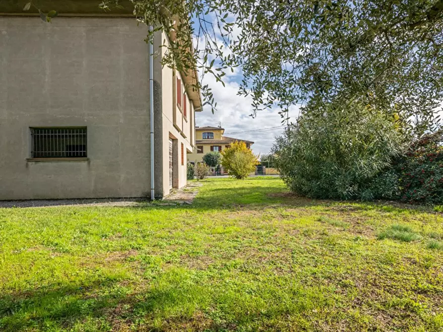 Immagine 10 di Villa in vendita  a Calcinaia