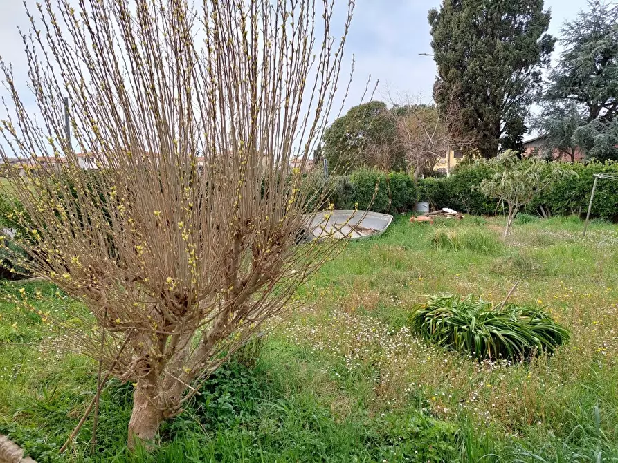 Immagine 20 di Casa bifamiliare in vendita  a Rosignano Marittimo