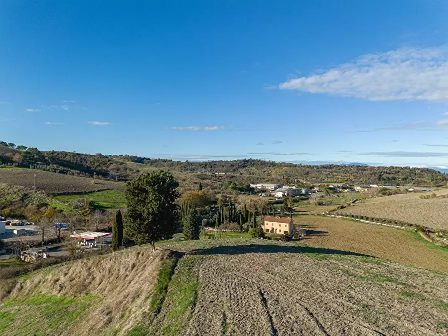 Immagine 50 di Casa colonica in vendita  a Casciana Terme Lari