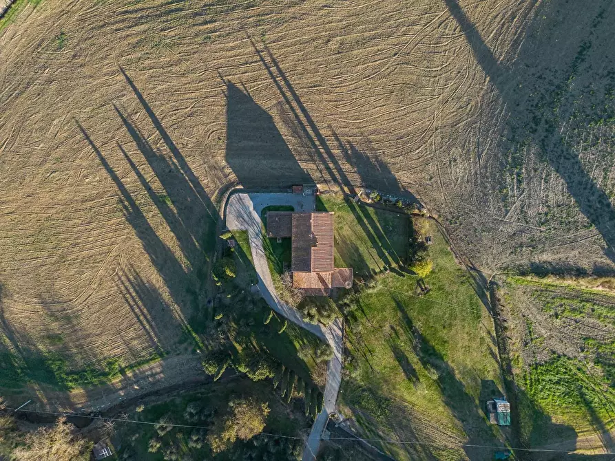 Immagine 5 di Casa colonica in vendita  a Casciana Terme Lari