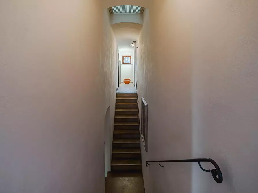 Immagine 30 di Casa colonica in vendita  a Casciana Terme Lari