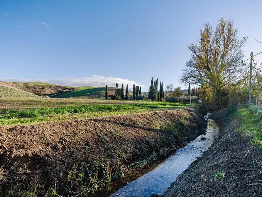 Immagine 54 di Casa colonica in vendita  a Casciana Terme Lari