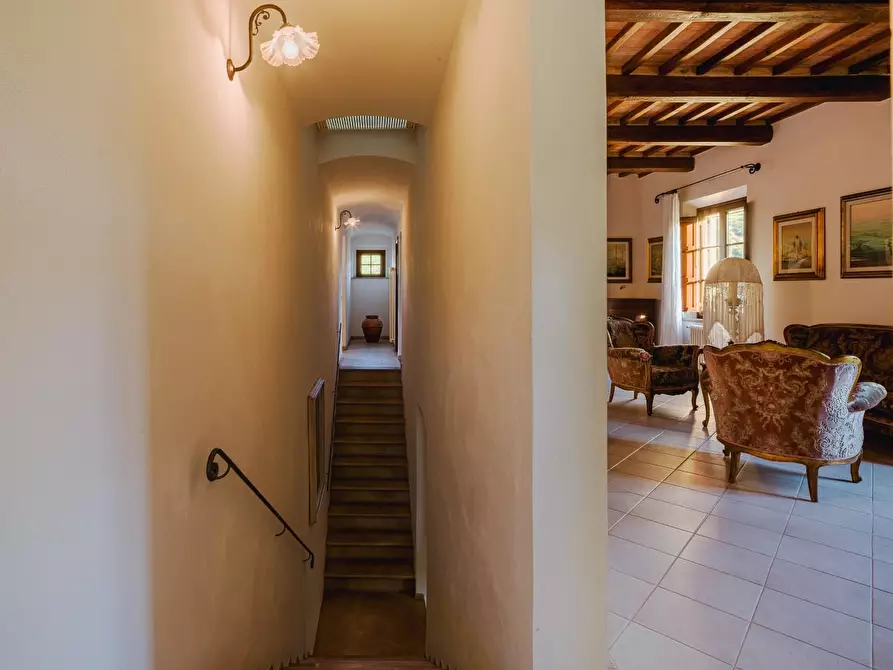 Immagine 34 di Casa colonica in vendita  a Casciana Terme Lari