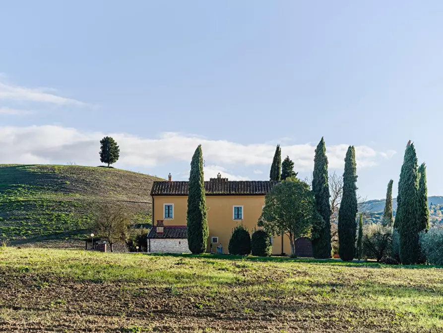 Immagine 1 di Casa colonica in vendita  a Casciana Terme Lari