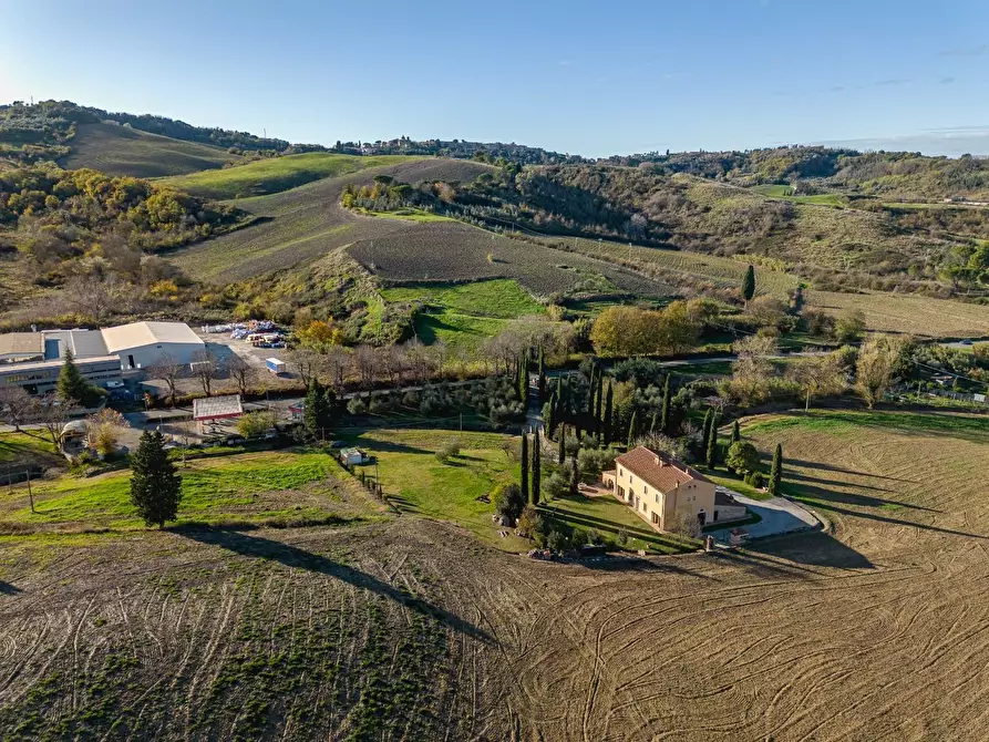 Immagine 49 di Casa colonica in vendita  a Casciana Terme Lari