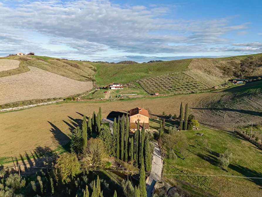 Immagine 52 di Casa colonica in vendita  a Casciana Terme Lari