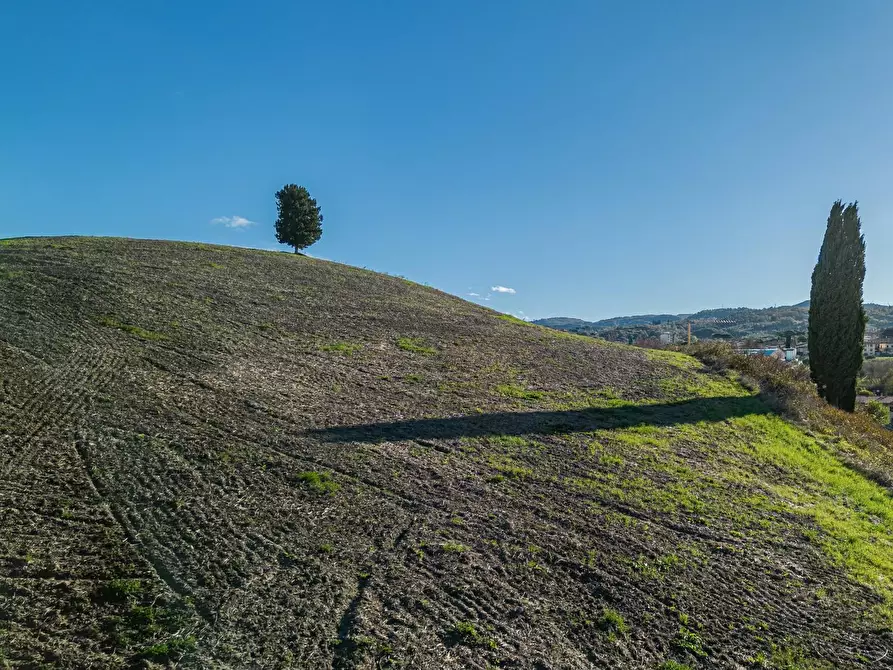Immagine 48 di Casa colonica in vendita  a Casciana Terme Lari