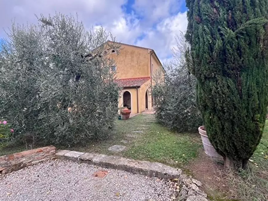 Immagine 11 di Casa colonica in vendita  a Casciana Terme Lari