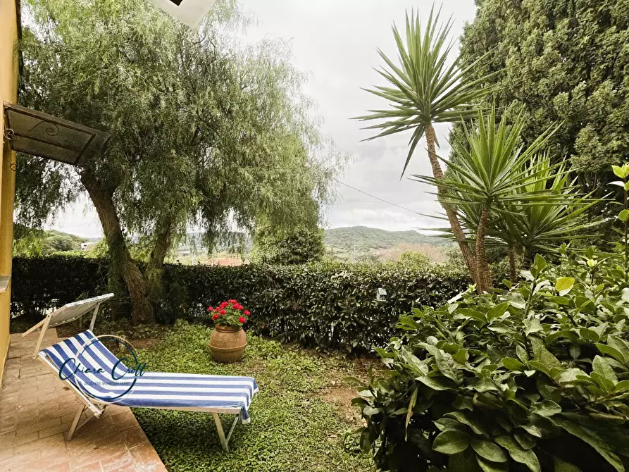 Immagine 4 di Appartamento in vendita  a Rosignano Marittimo