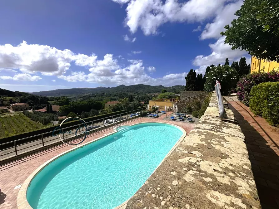 Immagine 12 di Appartamento in vendita  a Rosignano Marittimo