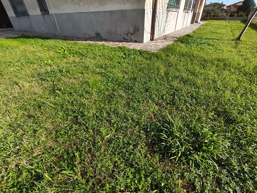 Immagine 3 di Villa in vendita  a Lucca