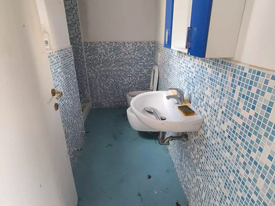 Immagine 54 di Villa in vendita  a Lucca