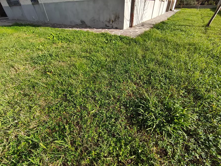 Immagine 2 di Villa in vendita  a Lucca