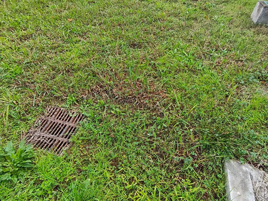 Immagine 8 di Villa in vendita  a Lucca