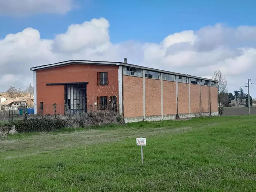 Immagine 5 di Capannone industriale in vendita  a Pinarolo Po