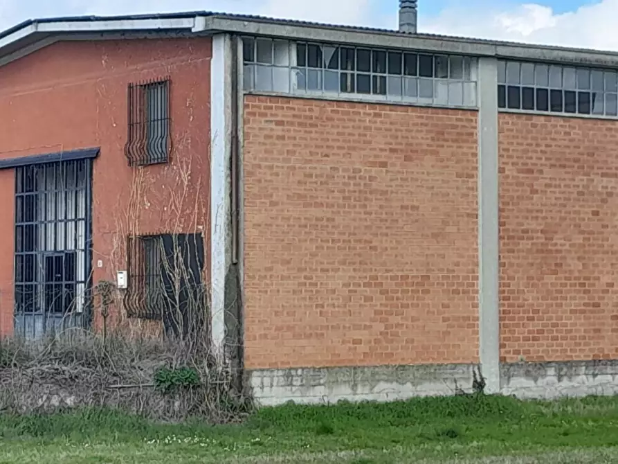 Immagine 3 di Capannone industriale in vendita  a Pinarolo Po