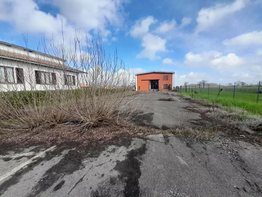 Immagine 7 di Capannone industriale in vendita  a Pinarolo Po
