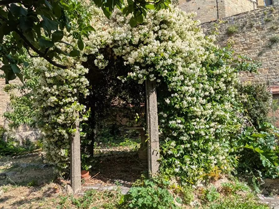 Immagine 5 di Appartamento in vendita  a Volterra