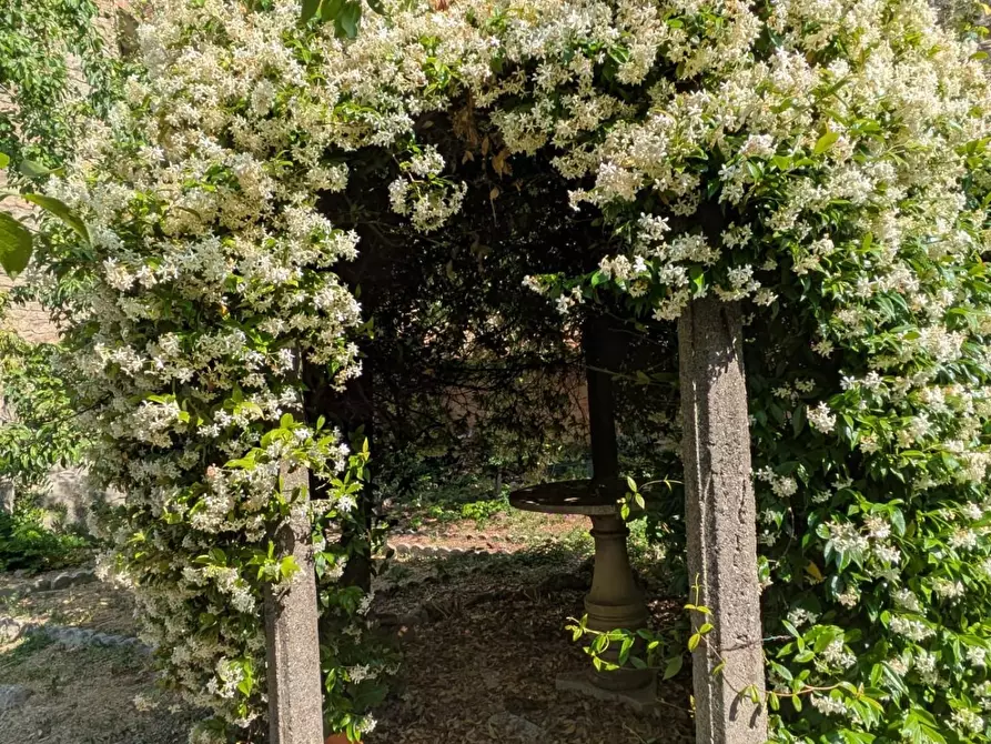 Immagine 4 di Appartamento in vendita  a Volterra