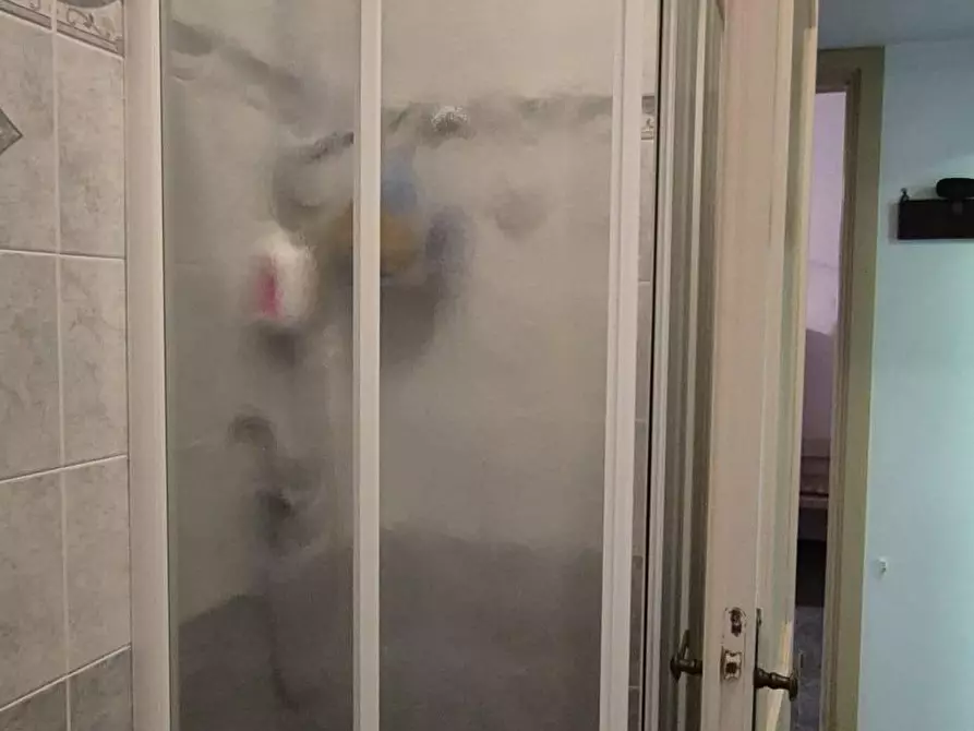 Immagine 15 di Appartamento in vendita  a Viareggio