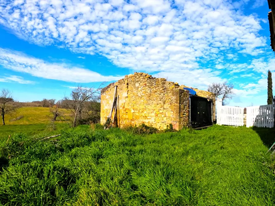 Immagine 5 di Rustico / casale in vendita  a Colle Di Val D'elsa