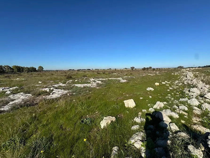 Immagine 14 di Terreno industriale in vendita  a Lecce
