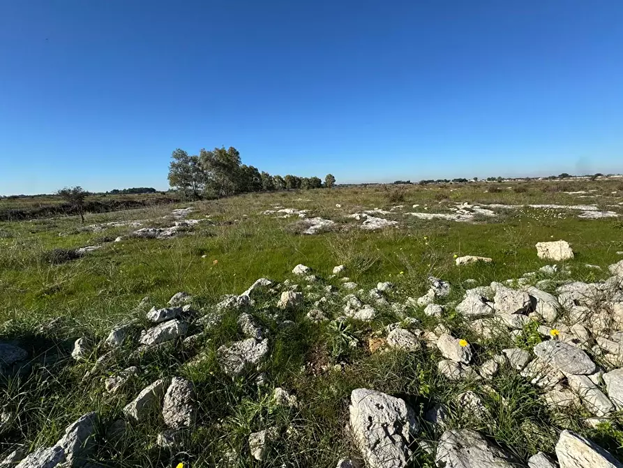 Immagine 2 di Terreno industriale in vendita  a Lecce