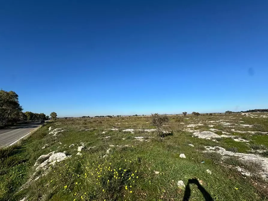 Immagine 10 di Terreno industriale in vendita  a Lecce