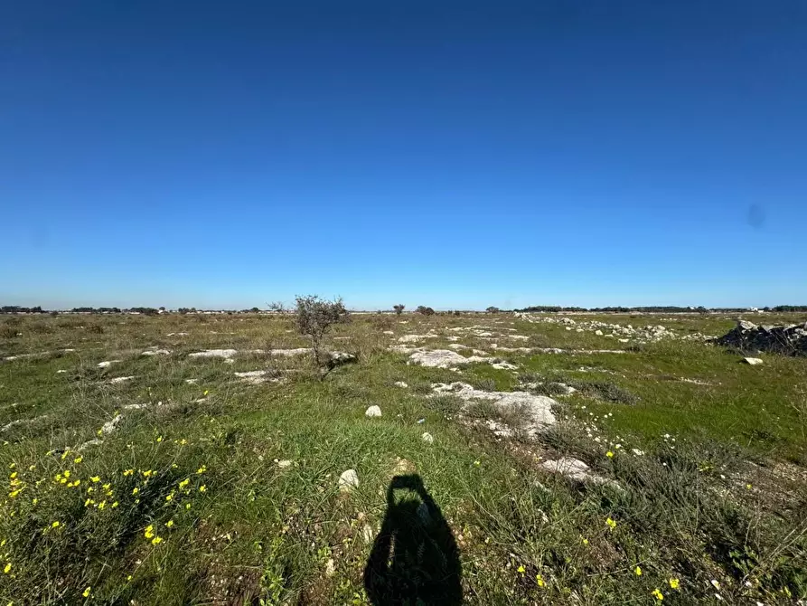 Immagine 7 di Terreno industriale in vendita  a Lecce