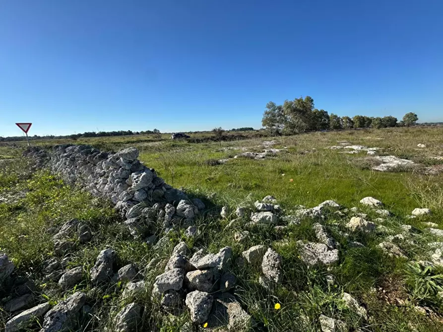 Immagine 15 di Terreno industriale in vendita  a Lecce