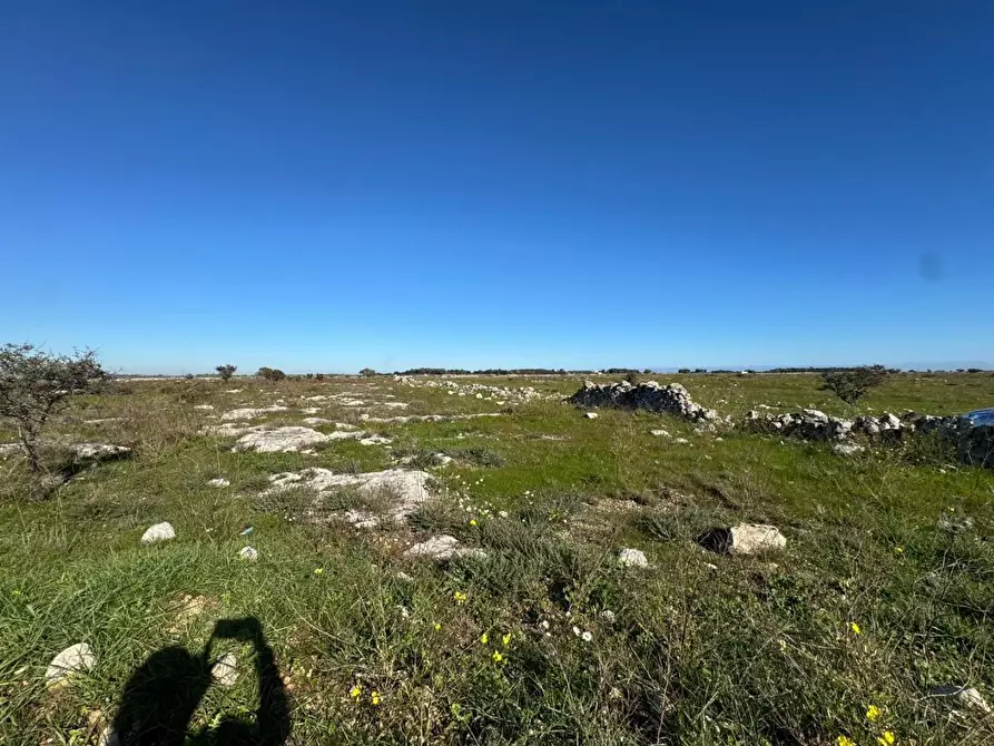Immagine 8 di Terreno industriale in vendita  a Lecce