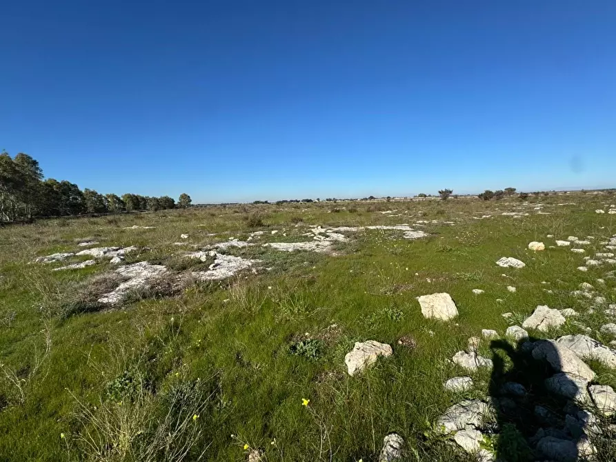 Immagine 17 di Terreno industriale in vendita  a Lecce