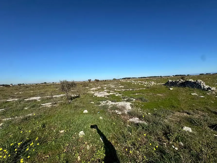 Immagine 11 di Terreno industriale in vendita  a Lecce