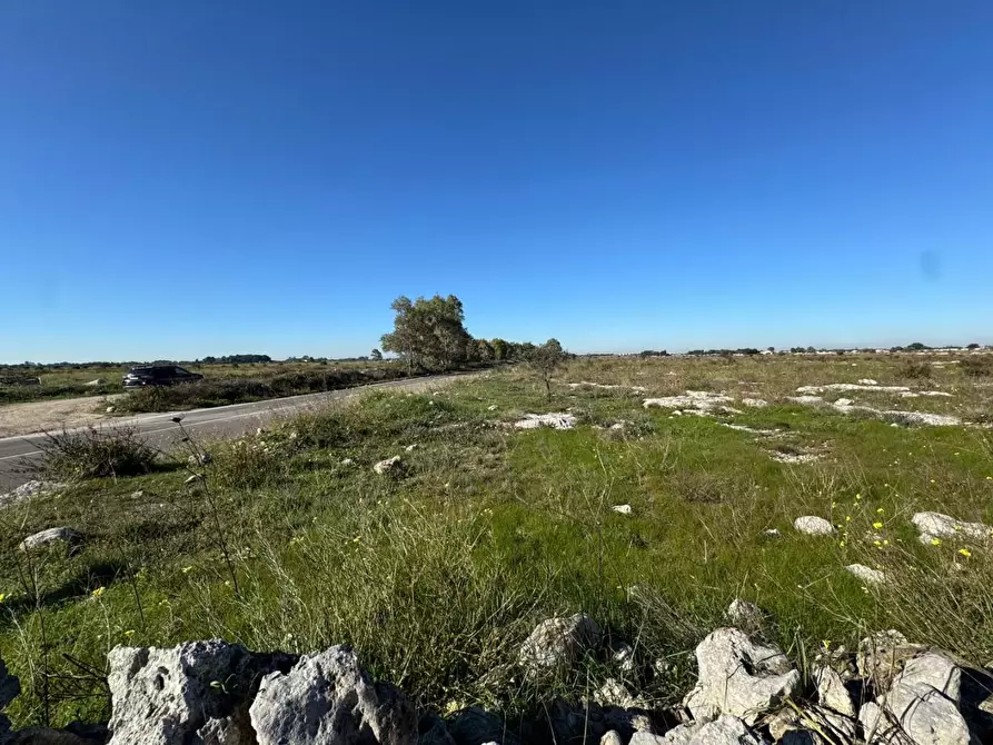 Immagine 19 di Terreno industriale in vendita  a Lecce
