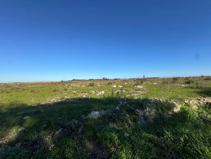 Immagine 4 di Terreno industriale in vendita  a Lecce