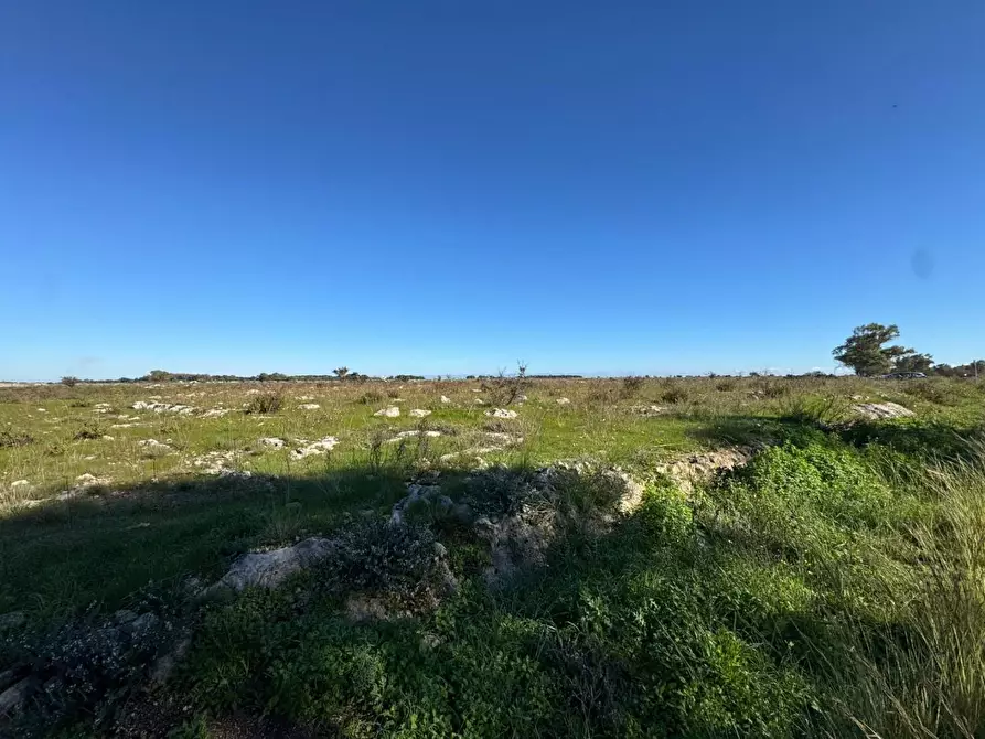 Immagine 5 di Terreno industriale in vendita  a Lecce