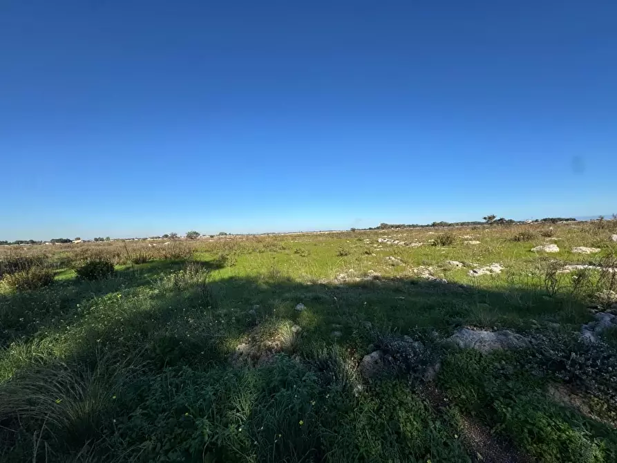 Immagine 1 di Terreno industriale in vendita  a Lecce