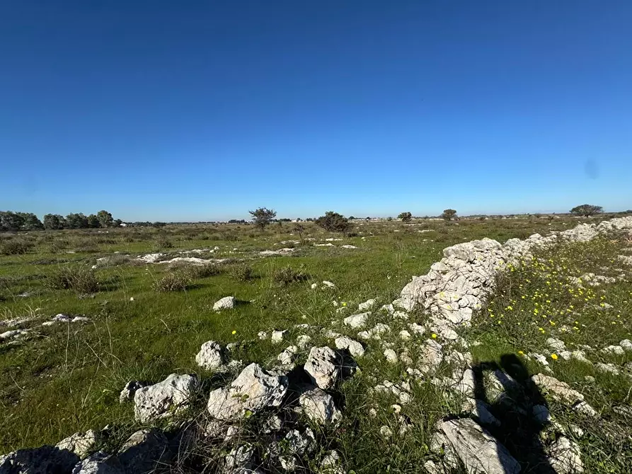 Immagine 12 di Terreno industriale in vendita  a Lecce