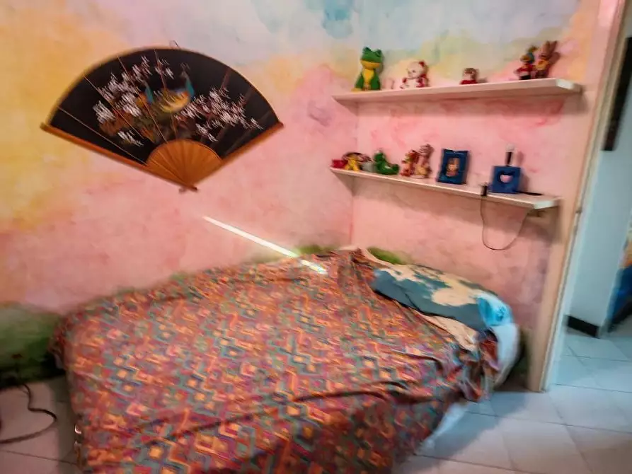 Immagine 1 di Appartamento in vendita  a Carrara