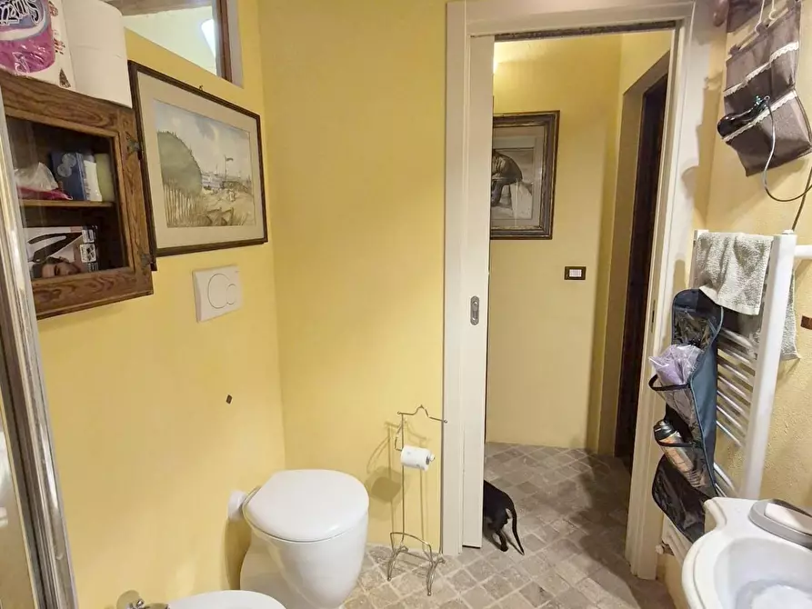 Immagine 30 di Appartamento in vendita  a Camaiore