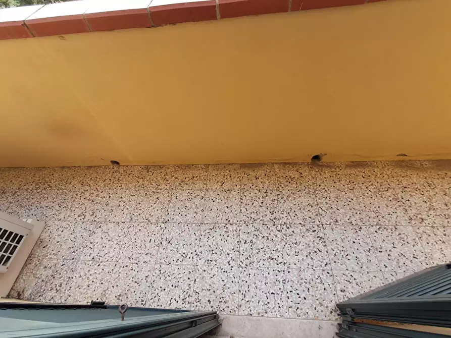 Immagine 20 di Terratetto in vendita  a Ponsacco