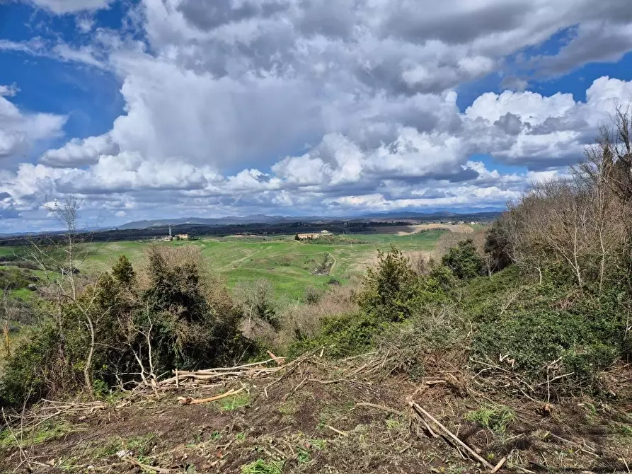 Immagine 17 di Villa in vendita  a Asciano