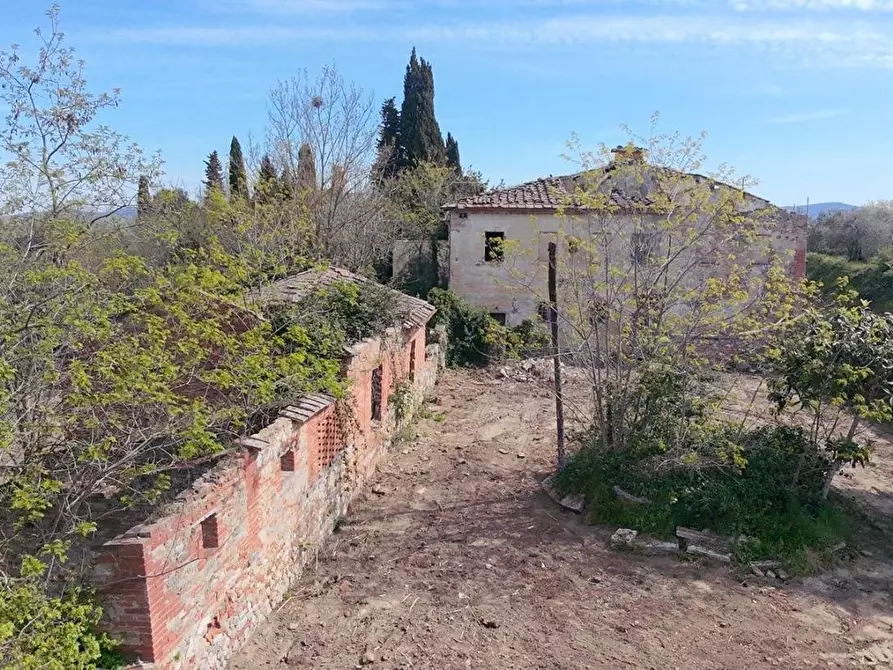 Immagine 13 di Villa in vendita  a Asciano