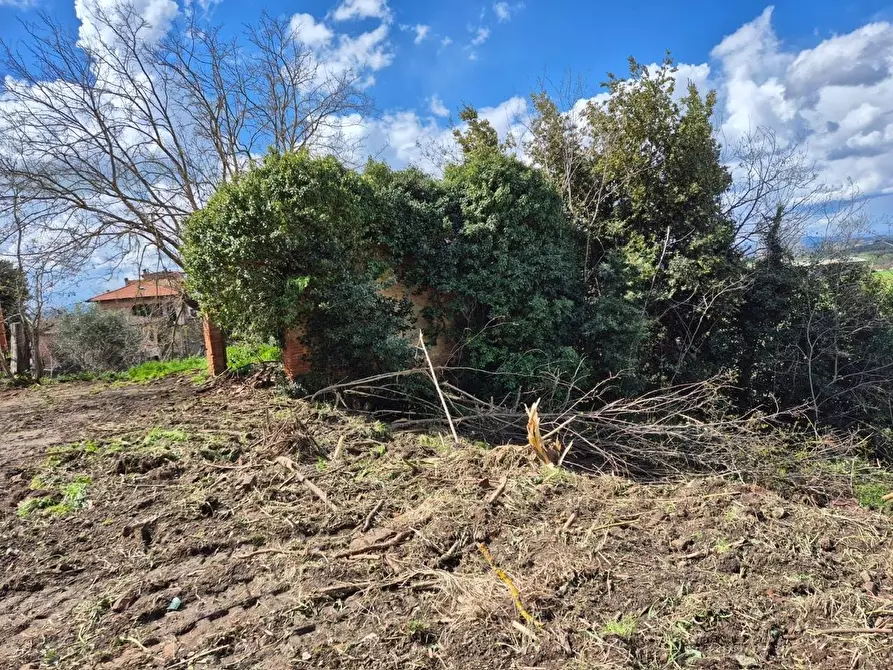 Immagine 14 di Villa in vendita  a Asciano
