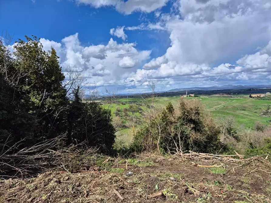 Immagine 21 di Villa in vendita  a Asciano