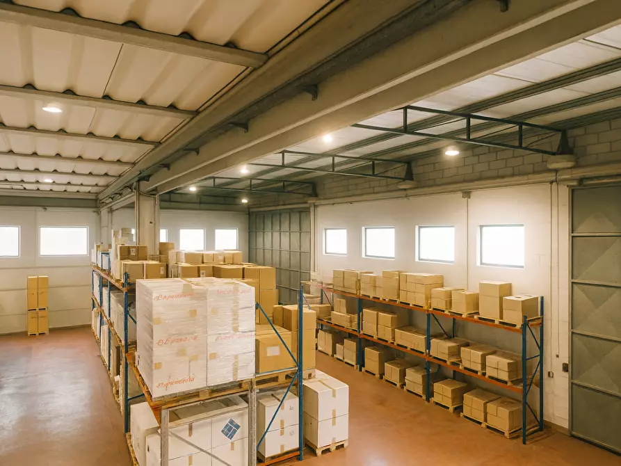 Immagine 11 di Capannone industriale in vendita  a Cascina