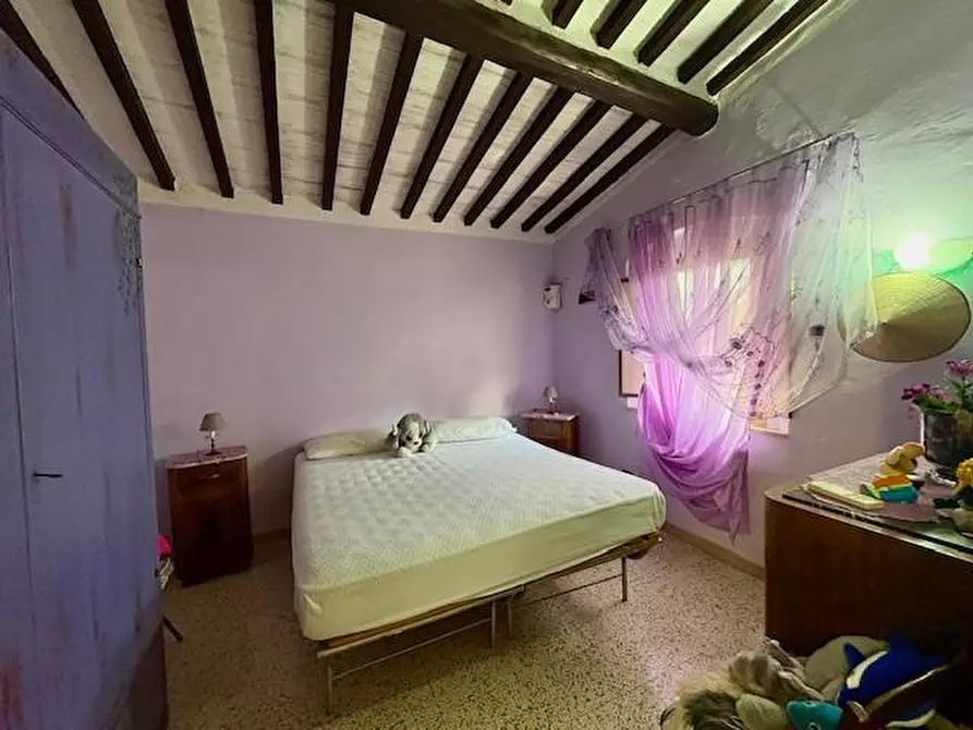 Immagine 21 di Terratetto in vendita  a Casciana Terme Lari