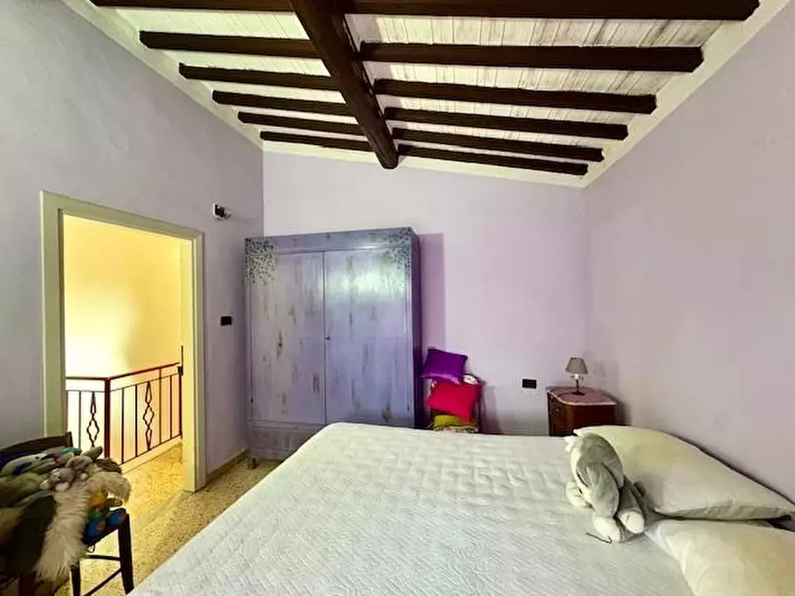 Immagine 24 di Terratetto in vendita  a Casciana Terme Lari